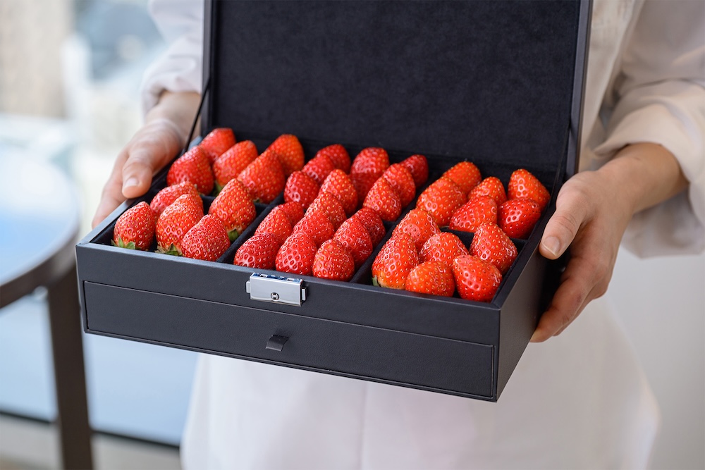 「ル プランタン アン フルール(Le printemps en fleurs)」イメージ