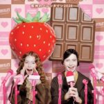 「阪神のバレンタイン2026」イメージ