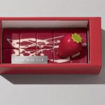 「THEドバイルビー」イメージ