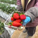 「津久井浜 Hajime Farm」イメージ