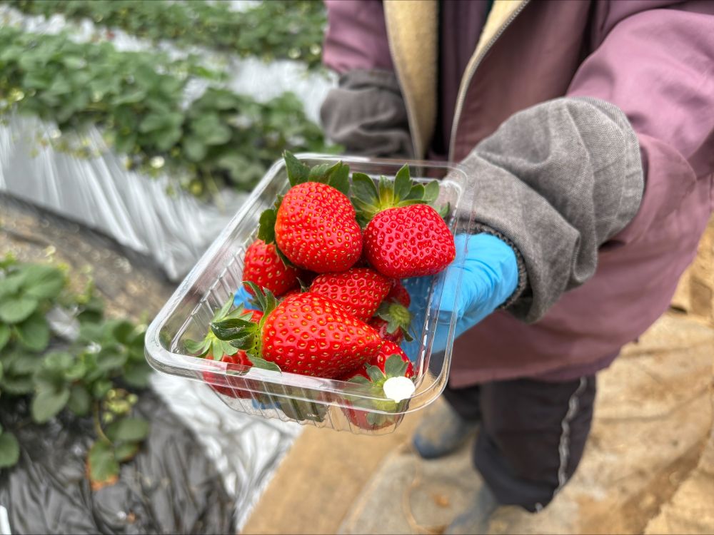 「津久井浜 Hajime Farm」イメージ