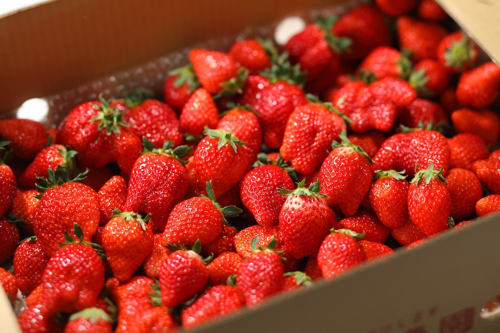 「ブランドいちご食べ放題」イメージ