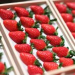 3月末まで販売される「クイーンストロベリー桐箱入」税込み10,800円