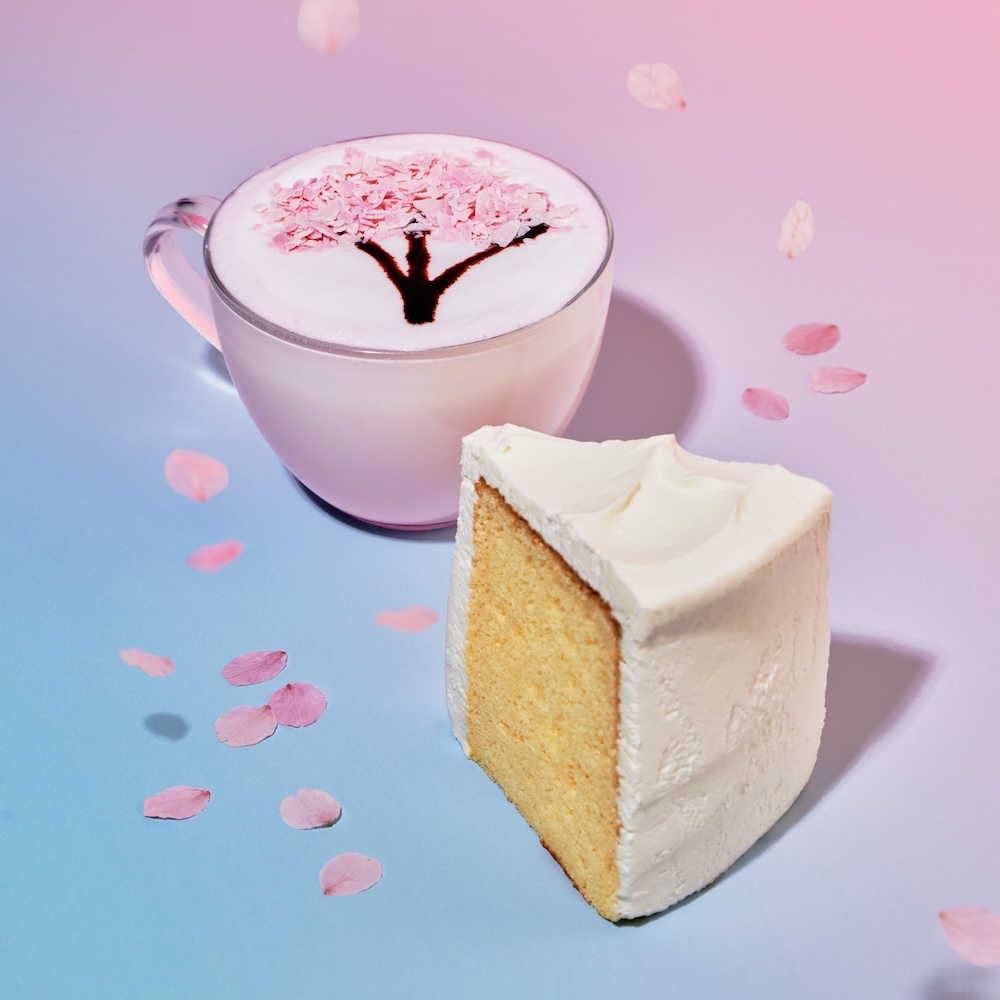 「クリームシフォンケーキ」税込み490円