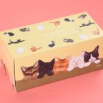 「Coonyねこティッシュ　220組」税込み368円