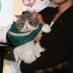 セブン-イレブン担当者に連れてこられた「ポセイドンくん」