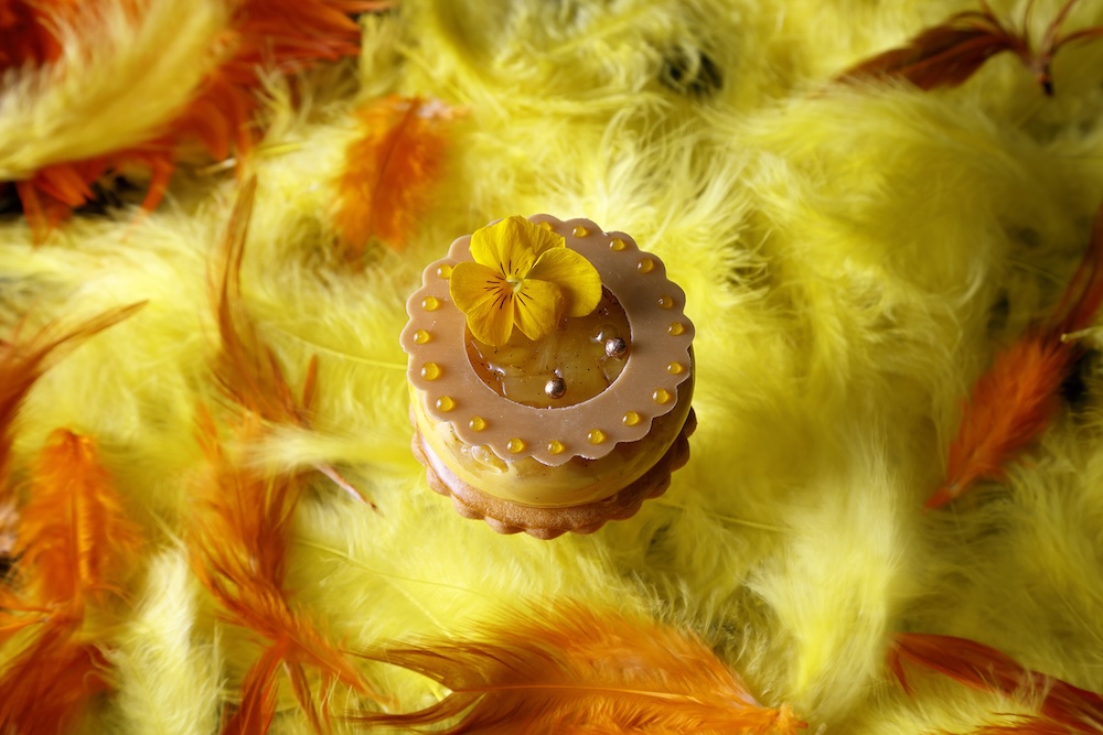 「ラディアント －Radiant－」イメージ