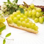 3月1日〜4月14日に販売される「トンプソンのタルト」ピース・税込み1,198円、ホール・税込み11,988円