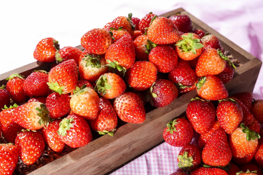 「いちごの収穫祭」の第2弾イメージ