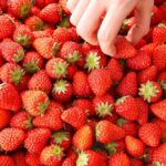 「苺スイーツ&ランチビュッフェ」イメージ