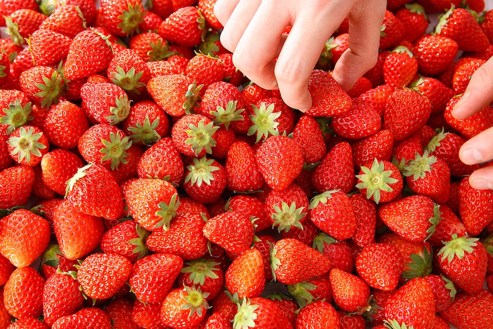 「苺スイーツ＆ランチビュッフェ」イメージ