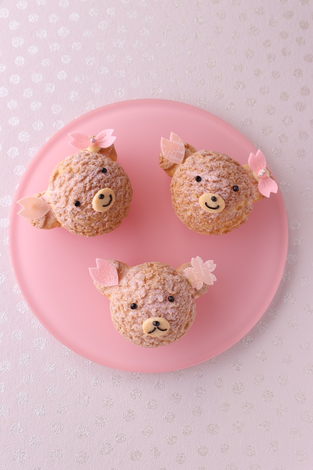 「クマさんシューさくら」イメージ