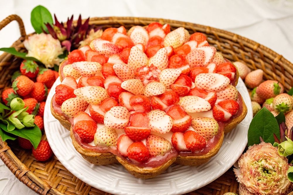 3月16日〜3月31日に販売される「特選 白イチゴと“桃薫”のタルト ~ロイヤルミルクティー風味~」ピース・税込み1,792円、ホール・税込み17,928円