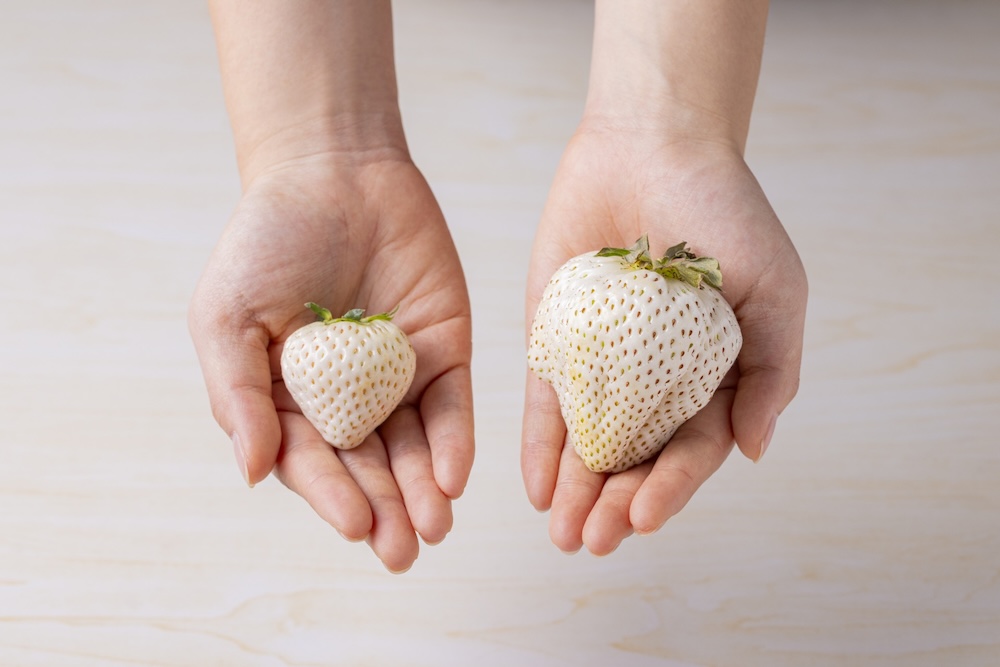 「天使の実プレミアム」イメージ