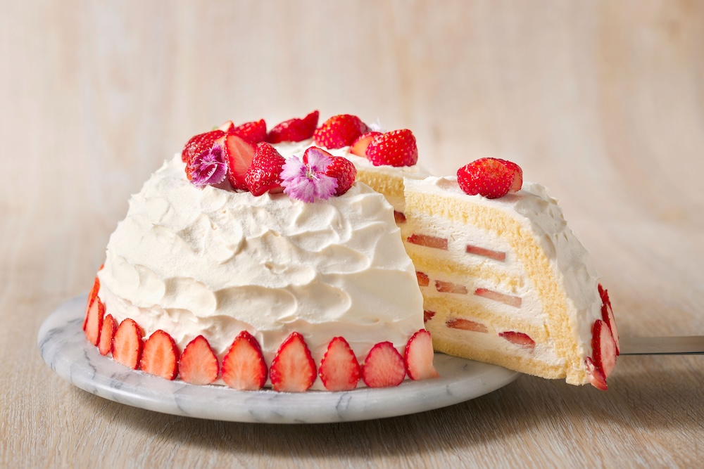 「おおきなイチゴのズコット」イメージ