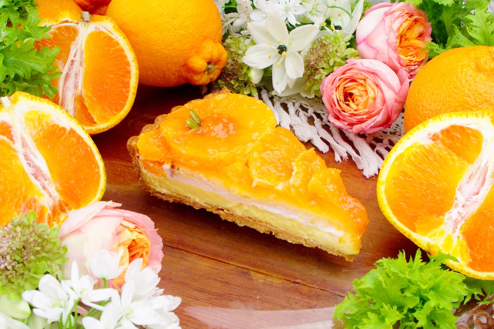 「熊本県天草産 不知火（しらぬい）“浅海月（あさみつき）”のタルト」ピース・税込み993円、ホール・税込み9,936円