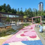 「花咲くカーペット」イメージ