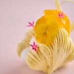 「ムラングシャンティ~ミモザ~(Meringue and Whipped Cream with Orange in Sparkling Wine)」イメージ