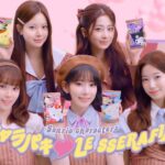 「サンリオキャラクターズ キャラパキ 『LE SSERAFIM』Ver.」イメージ