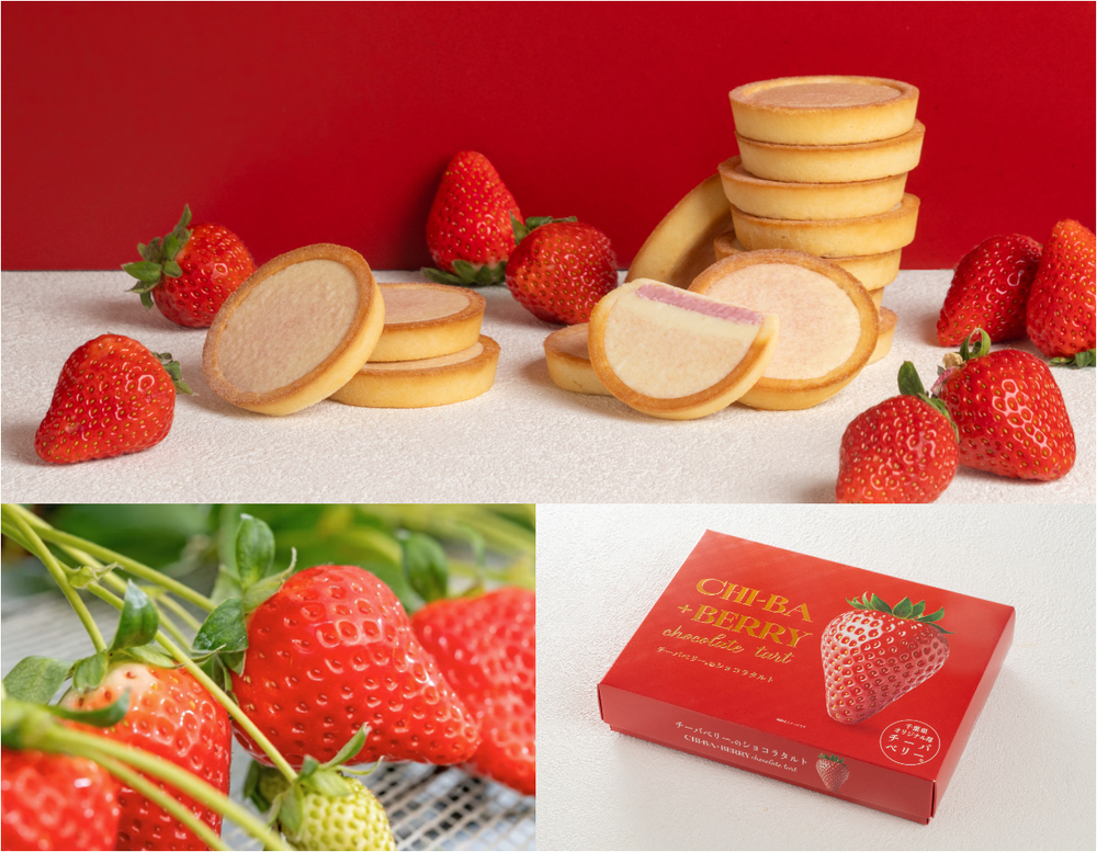 10年かけて誕生したいちご「チーバベリー」をつかった 甘酸っぱい苺が紡ぐ千葉の新商品! ― 「チーバベリーショコラタルト」2026年3月6日新発売 ―