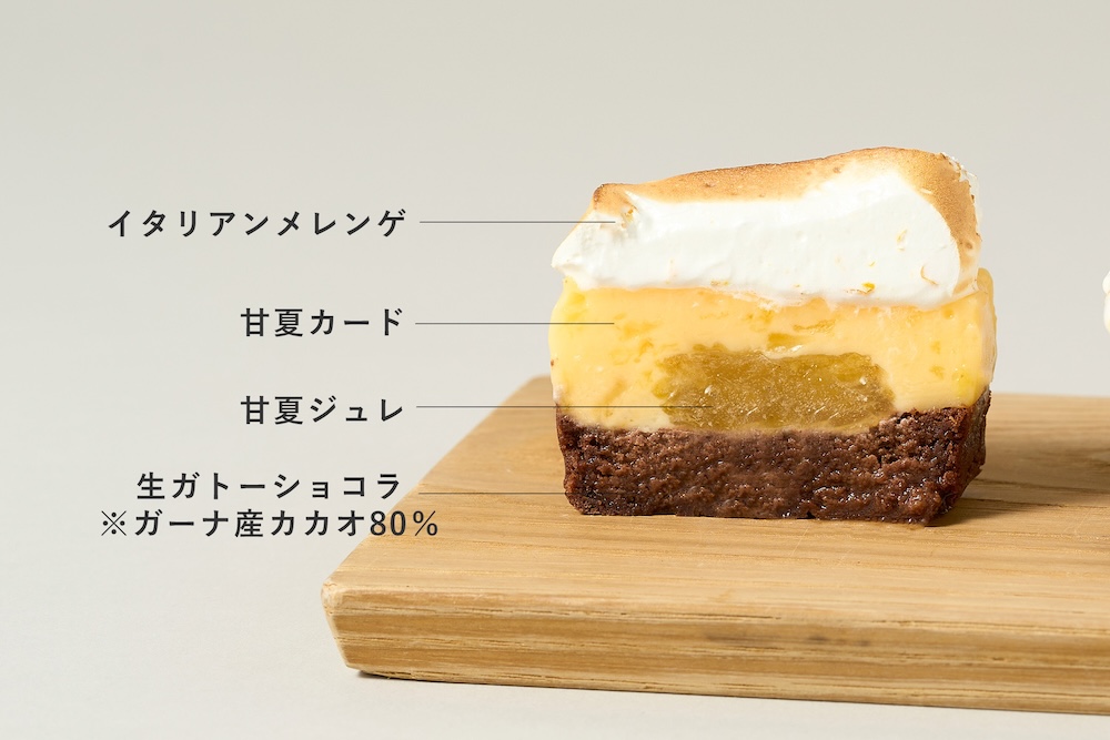 「甘夏みかんの生ガトーショコラ」イメージ