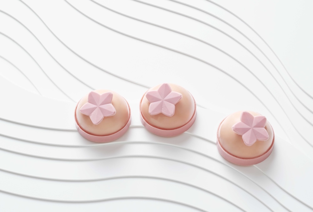 生ケーキ「ジャルダン ジャポネ」税込み1,026円