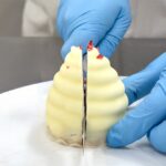 「ホワイトシャンティー」イメージ