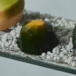 「千の茶会アフタヌーンティー ~京の箱庭~」イメージ