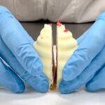 「ホワイトシャンティー」イメージ