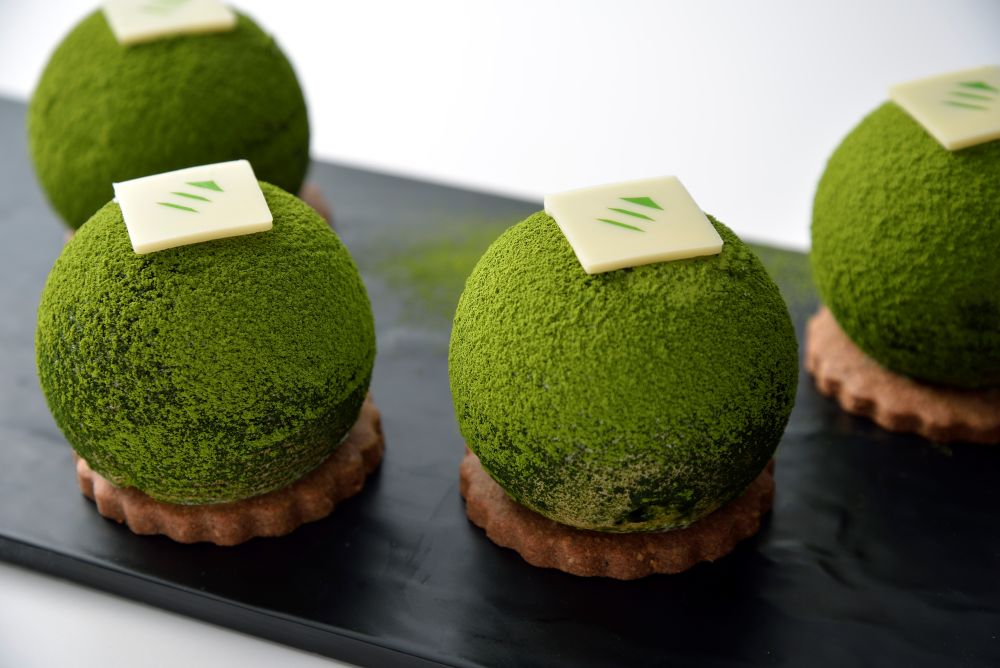 「苔玉」イメージ