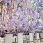 「Wisteria Fairy Garden Afternoon Tea」イメージ