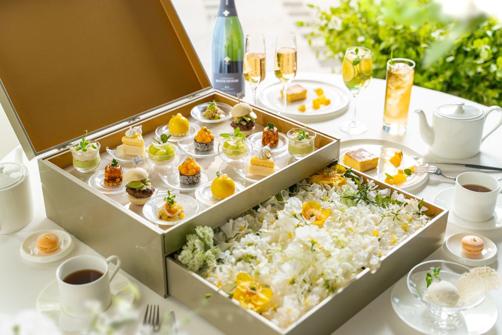 「Early Summer Palette」イメージ