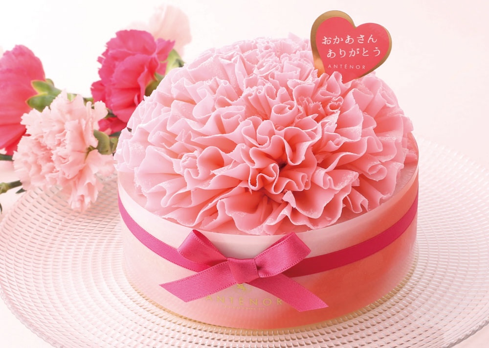 「カーネーション」イメージ