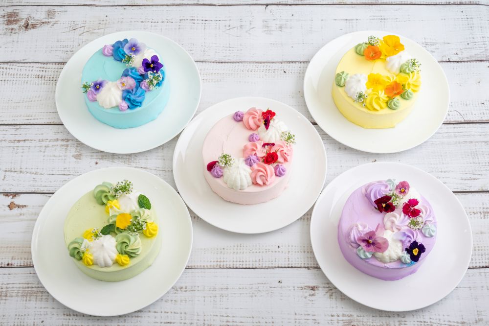 「母の日コース ～Merci Maman 推しカラーケーキセレクション～」イメージ