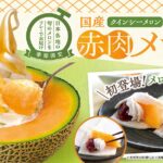 夢庵のメロンデザートイメージ