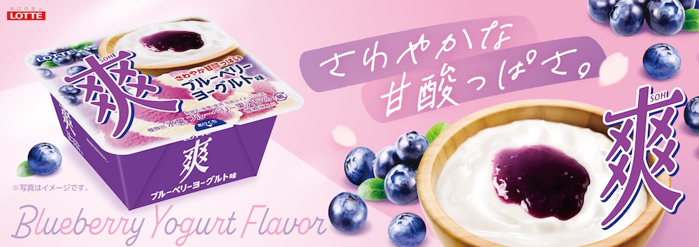 「爽 ブルーベリーヨーグルト味」イメージ