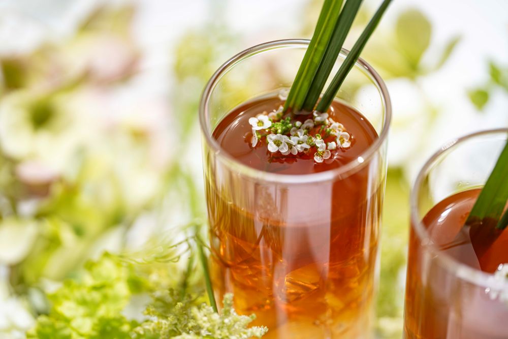 「Early Summer Palette」イメージ