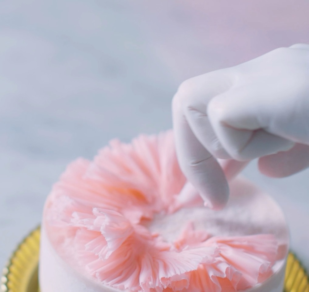 「カーネーション」イメージ