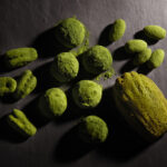 「初夏限定抹茶コレクション」イメージ