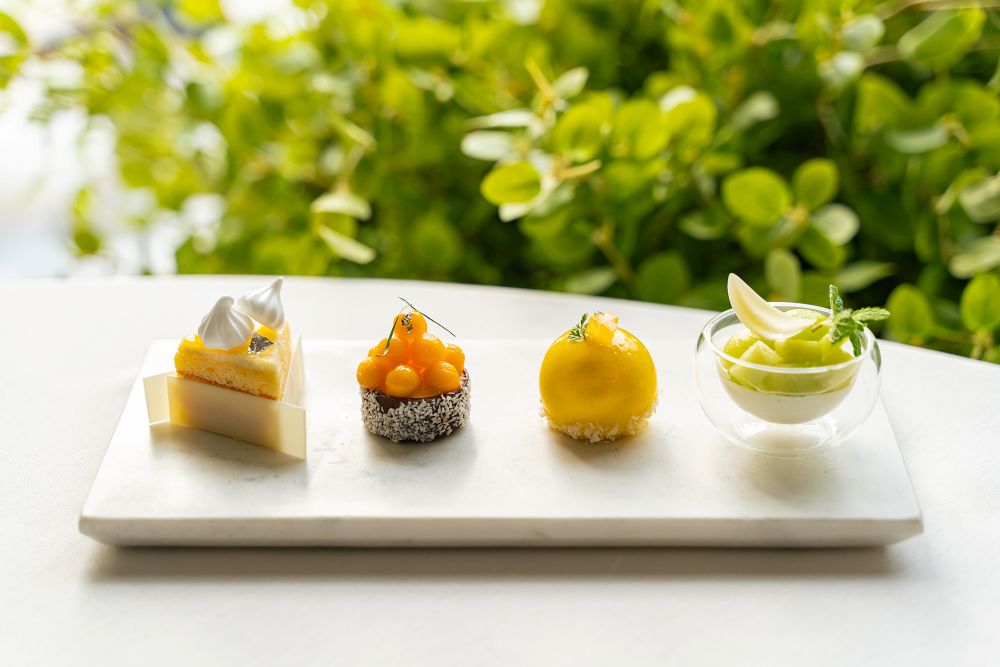 「Early Summer Palette」イメージ