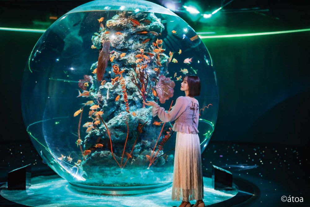 「AQUA TERRA」イメージ