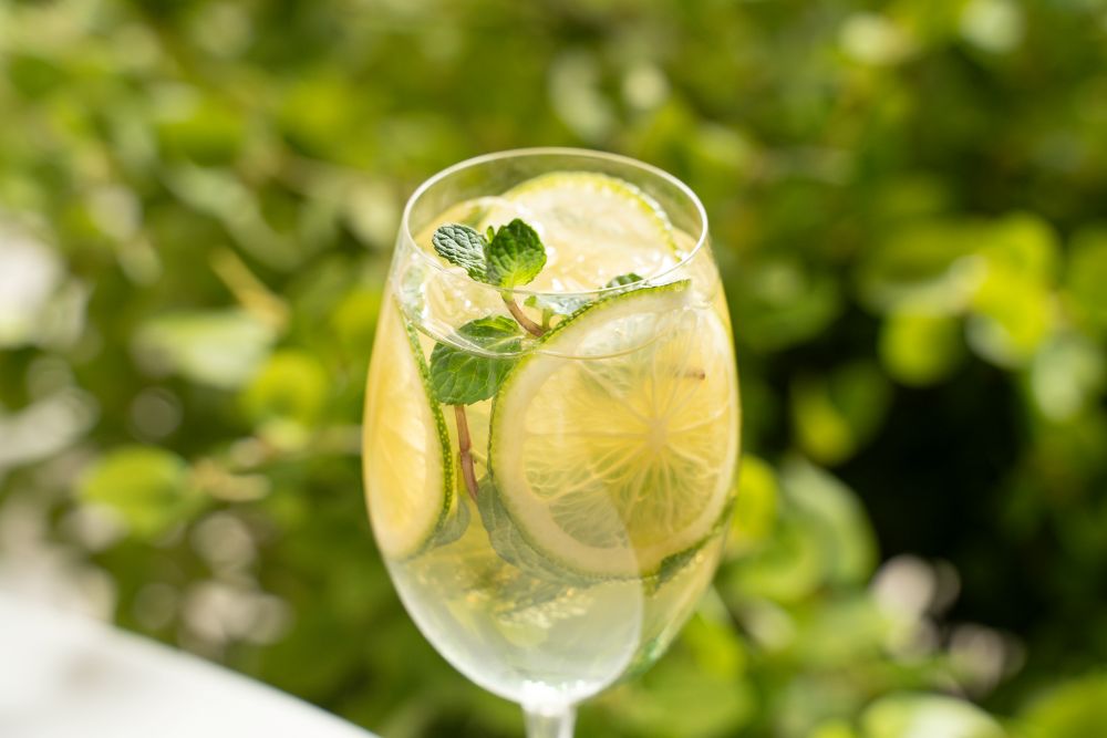 「Early Summer Palette」イメージ