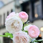 「KIOI ROSE WEEK 2026」イメージ