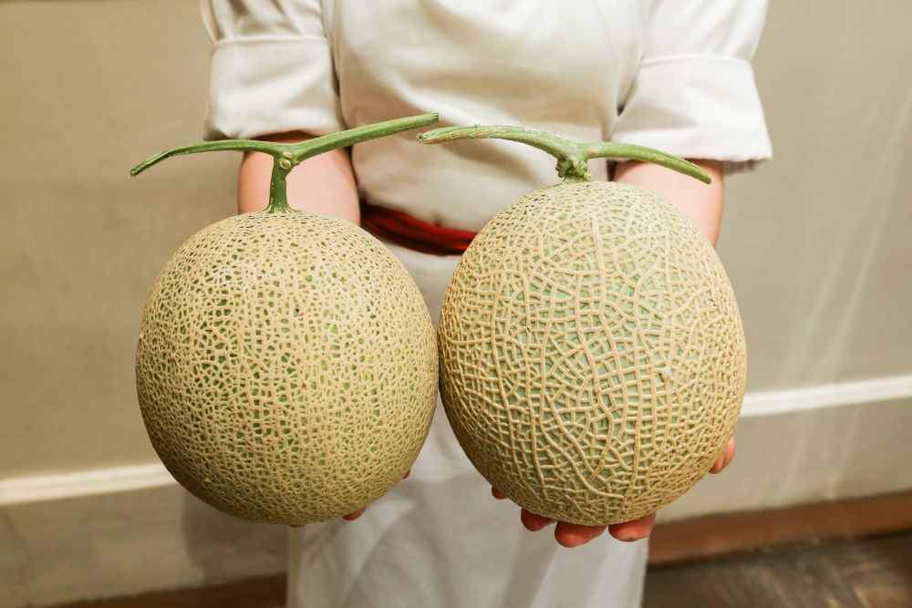左から「熊本県産レノンスター」、「熊本県産塩アールスメロン」イメージ