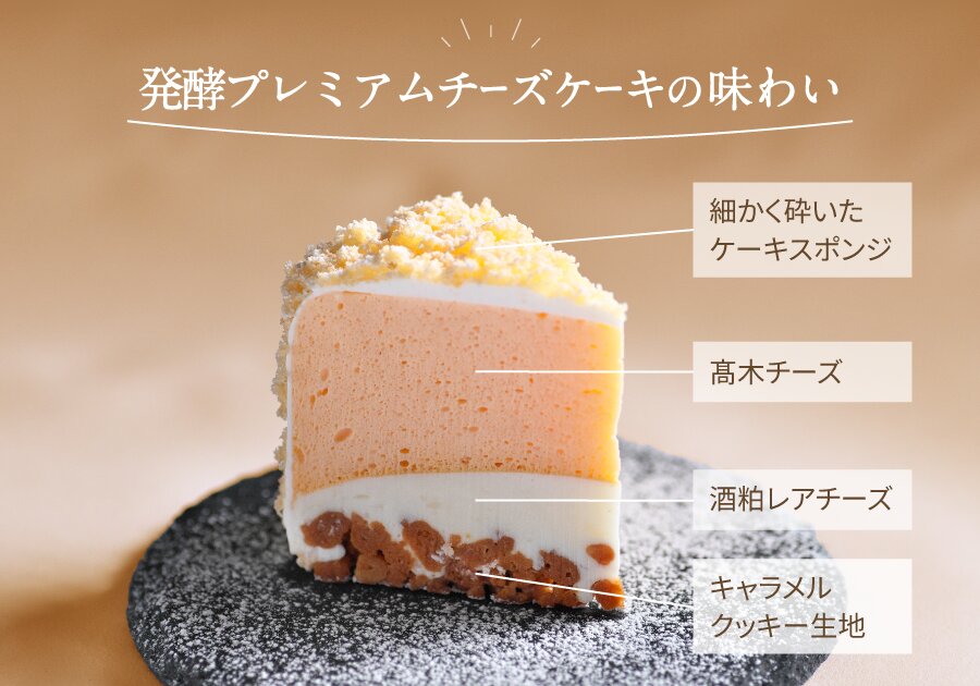 「飯沼本家 熟成酒粕 発酵プレミアムチーズケーキ」イメージ