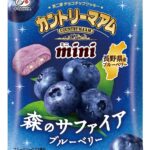 「カントリーマアムミニ(森のサファイアブルーベリ―)」イメージ