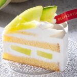 「メロンのスペシャルショートケーキ」イメージ