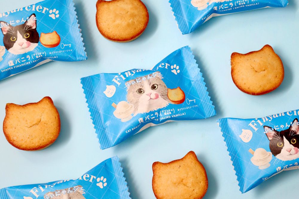 「ふぃにゃんシェ 塩バニラ」イメージ