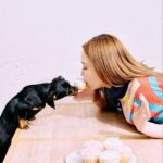 「キビー」イメージ