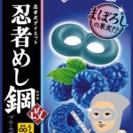 「味覚糖 忍者めし鋼 ブルーラズベリー味」税込み160円